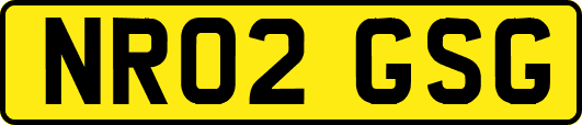 NR02GSG
