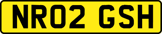 NR02GSH