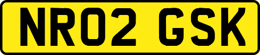 NR02GSK