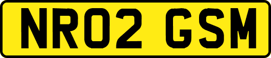 NR02GSM