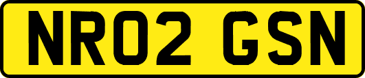 NR02GSN