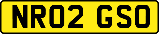 NR02GSO