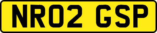 NR02GSP