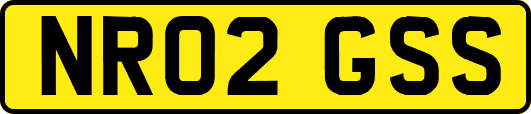 NR02GSS