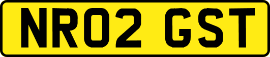 NR02GST