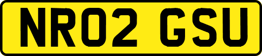 NR02GSU