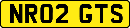NR02GTS