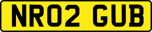 NR02GUB