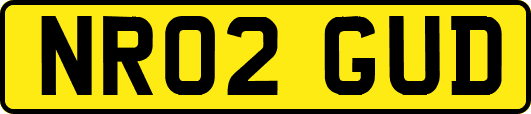 NR02GUD