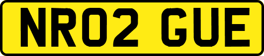 NR02GUE