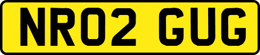 NR02GUG