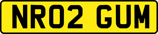 NR02GUM