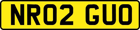 NR02GUO