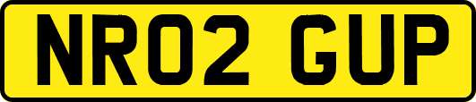 NR02GUP