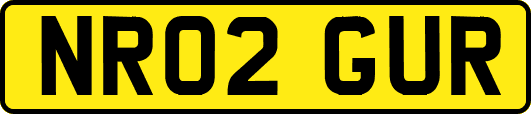 NR02GUR
