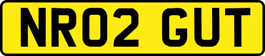 NR02GUT