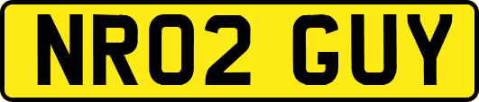 NR02GUY