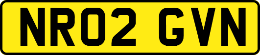 NR02GVN