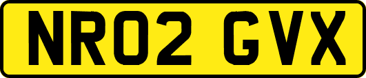 NR02GVX