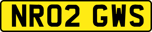 NR02GWS