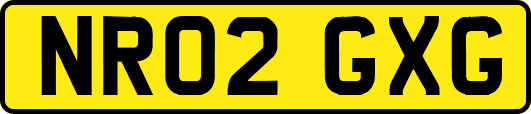NR02GXG