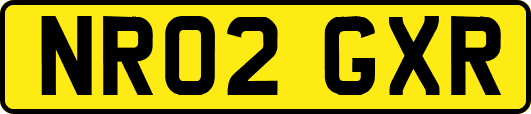 NR02GXR