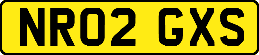 NR02GXS