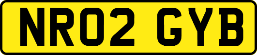NR02GYB