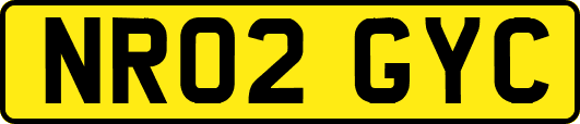 NR02GYC