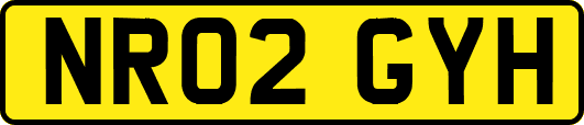 NR02GYH