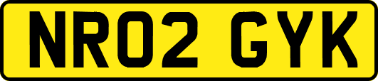 NR02GYK