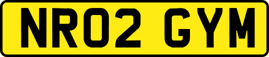 NR02GYM