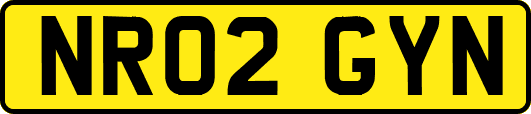 NR02GYN