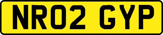 NR02GYP