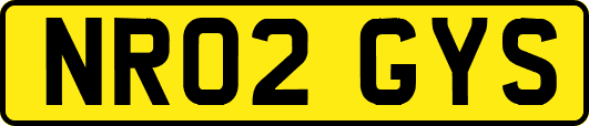 NR02GYS