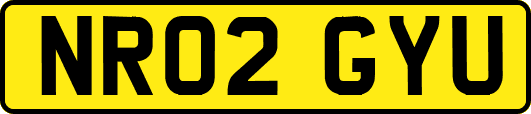 NR02GYU