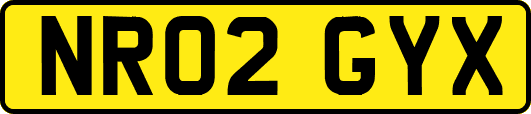 NR02GYX