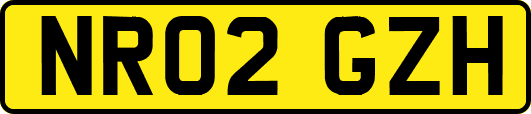 NR02GZH