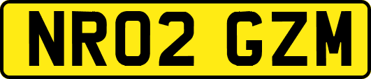 NR02GZM