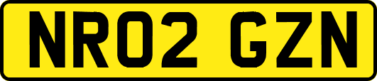 NR02GZN