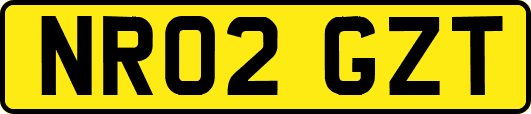 NR02GZT