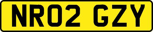 NR02GZY