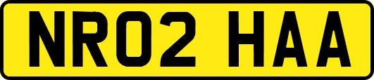 NR02HAA