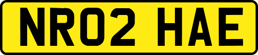 NR02HAE