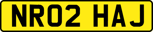 NR02HAJ