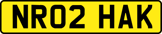 NR02HAK