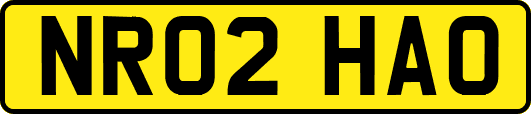 NR02HAO