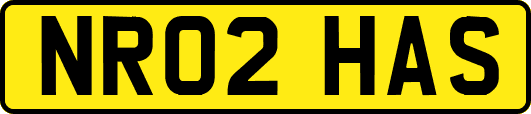 NR02HAS