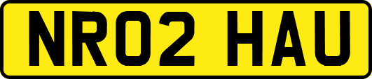 NR02HAU