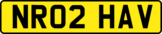 NR02HAV